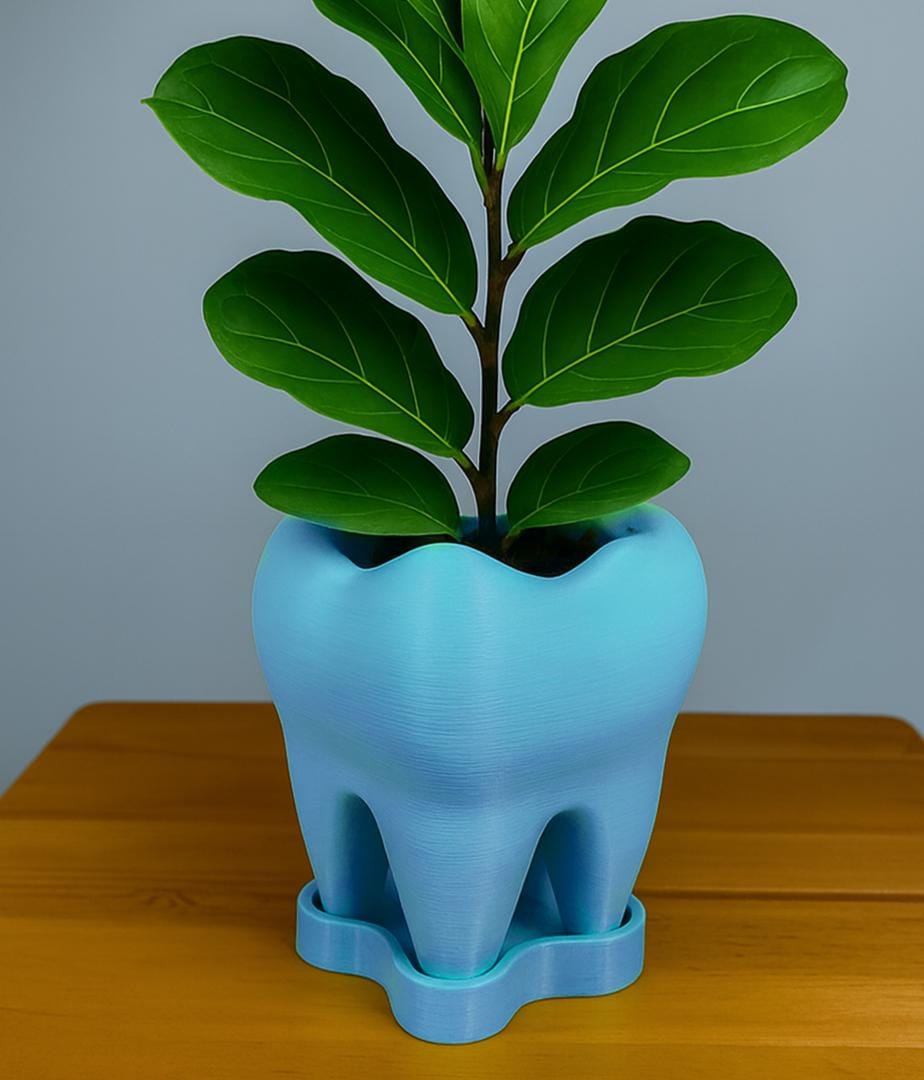 Tooth Planter with Saucer – 3D Printed Eco-Friendly Plant Pot | Unique Dentist Gift & Modern Home Décor