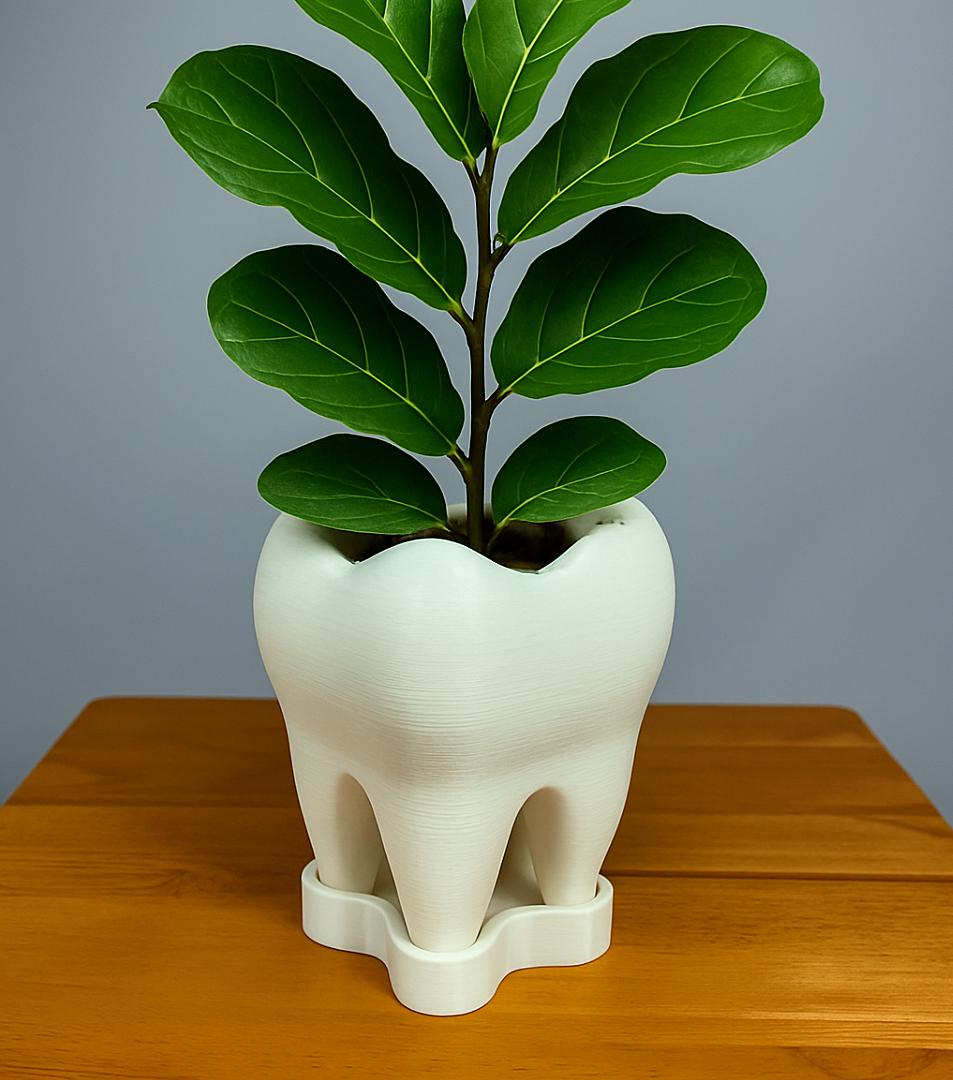 Tooth Planter with Saucer – 3D Printed Eco-Friendly Plant Pot | Unique Dentist Gift & Modern Home Décor