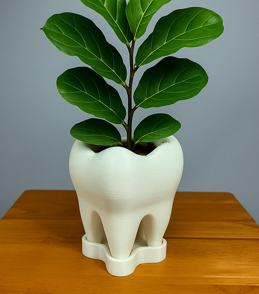 Tooth Planter with Saucer – 3D Printed Eco-Friendly Plant Pot | Unique Dentist Gift & Modern Home Décor