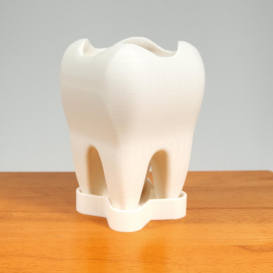Tooth Planter with Saucer – 3D Printed Eco-Friendly Plant Pot | Unique Dentist Gift & Modern Home Décor