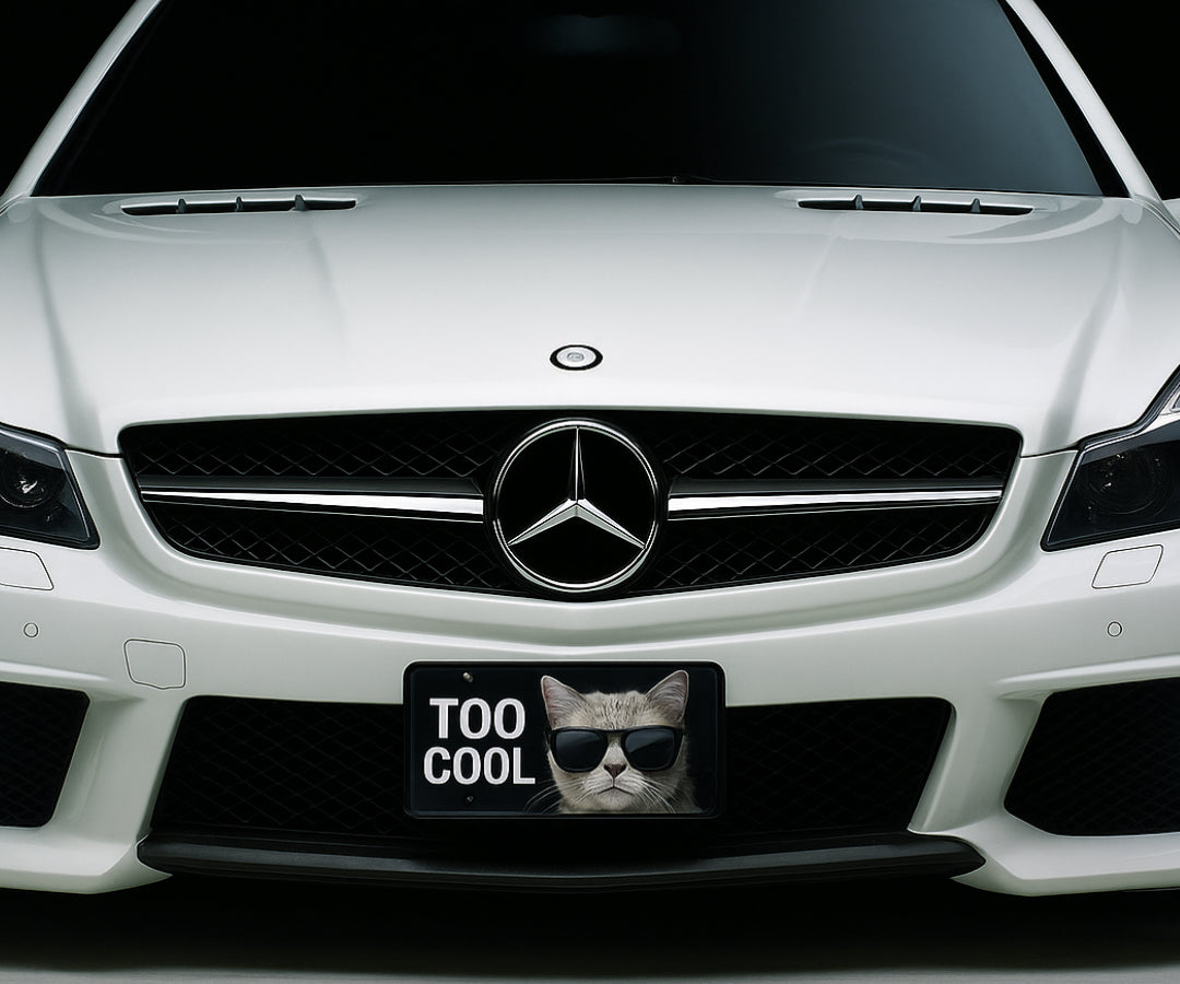 Personalized Aluminum Car License Plate – Custom Photo or Text Gift