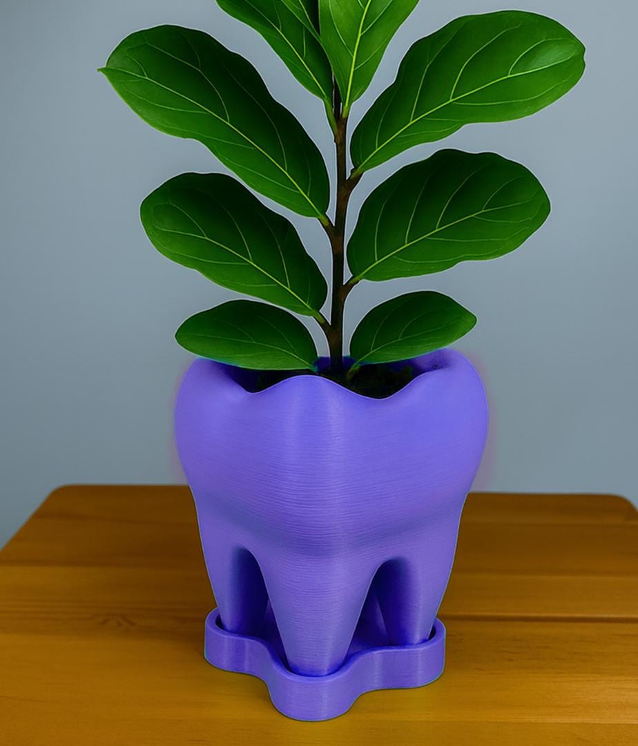 Tooth Planter with Saucer – 3D Printed Eco-Friendly Plant Pot | Unique Dentist Gift & Modern Home Décor